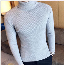 Load image into Gallery viewer, Turtleneck Sweater Men Wool Pullover Mens Sweaters Stripe Turtle Neck Male Sweter Jumper Casual Thermal High Quality Moose