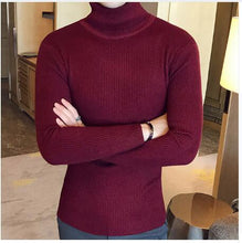 Load image into Gallery viewer, Turtleneck Sweater Men Wool Pullover Mens Sweaters Stripe Turtle Neck Male Sweter Jumper Casual Thermal High Quality Moose